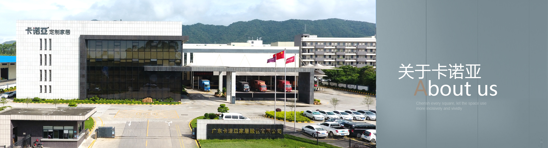 關於草莓视频官网